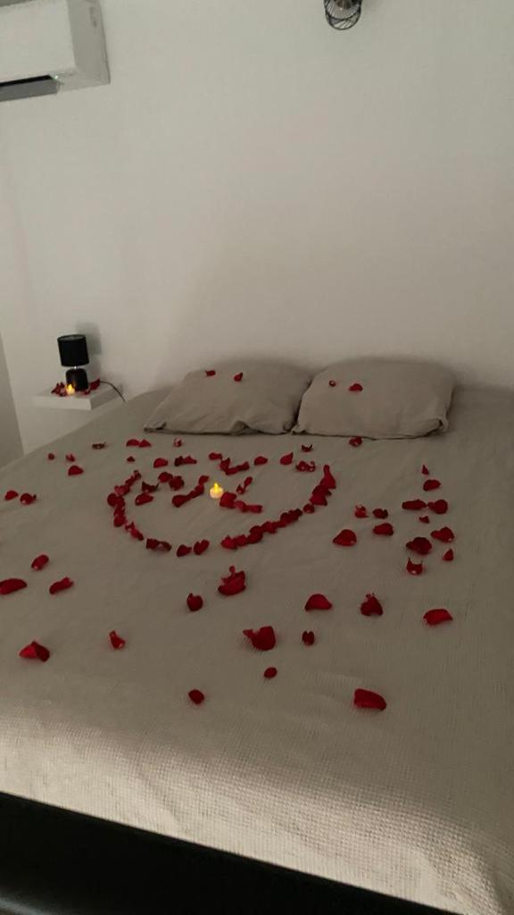 Cosy House Jacuzzi Villa Carpentras Bagian luar foto